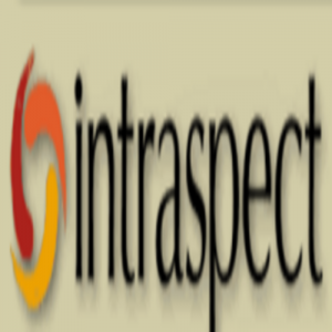 Intraspect Software