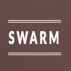 Swarm Enterprises
