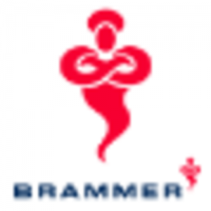 Brammer PLC