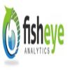 Fisheye Analytics