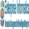 Enterprise Informatics