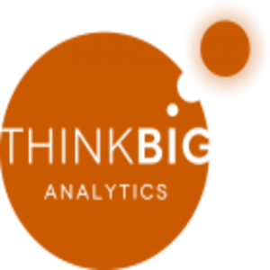 Think Big Analytics