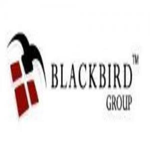 Blackbird Group, Inc.