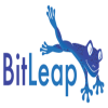 BitLeap