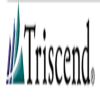 Triscend
