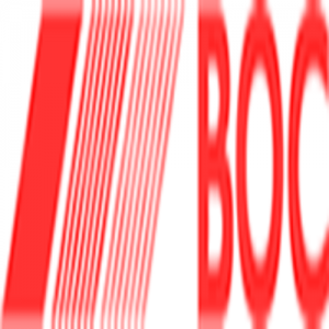 The BOC Group