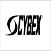 Cybex International Inc.