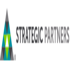 Strategic Partners