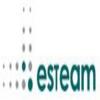 Esteam
