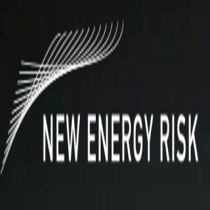 New Energy Risk