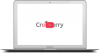 Cronberry