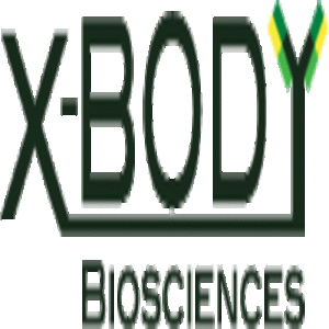 X BODY