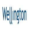 Wellington Insurance Group