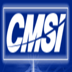 Credit Management Solutions (CMSI)