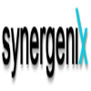 Synergenix Interactive