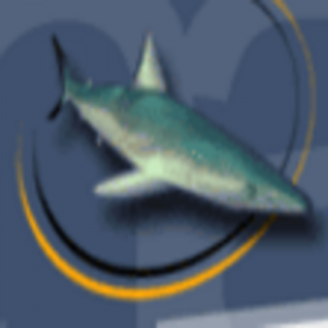 SharkyExtreme.com