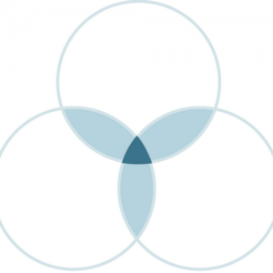 Sense Networks