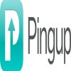 Pingup