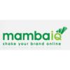 MambaIQ