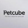 Petcube