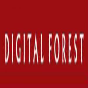 Digital Forest