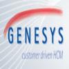 Genesys Software Systems