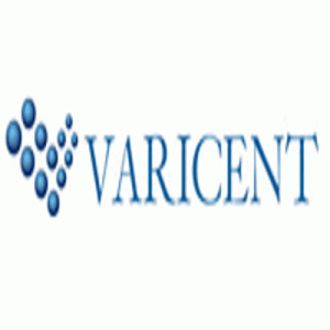 Varicent Software