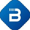 BlueVisor