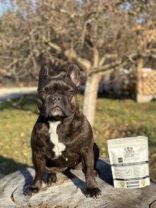 Complete Health Daily Dog Multivitamin