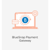 Magento 2 BlueSnap Payment Gateway