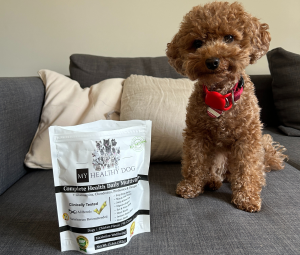 Stop Your Dog From Eating Poop