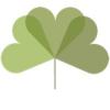 Carbon Credits