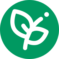 WhatisthePlant