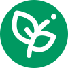 WhatisthePlant