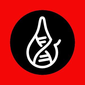 Hydrogen Water Bottle