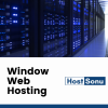 Windows Web Hosting