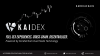 KAIDEX